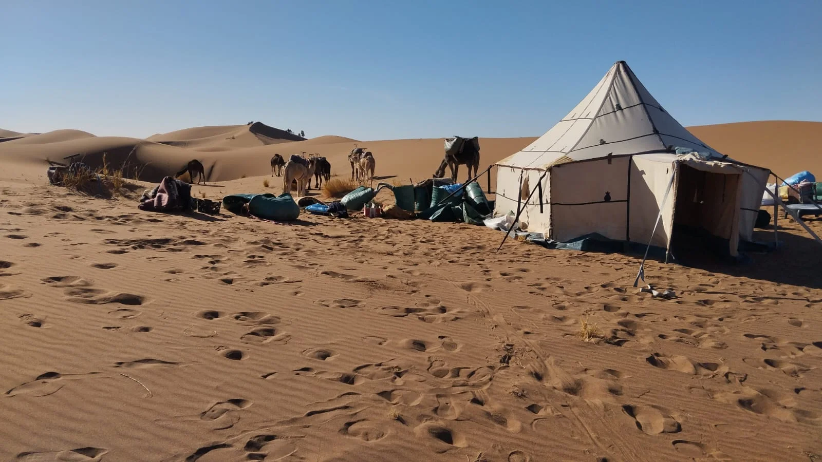 8 Days Trek from Marrakech to M'Hamid El Ghizlane - Sahara Desert Trekking Expedition
