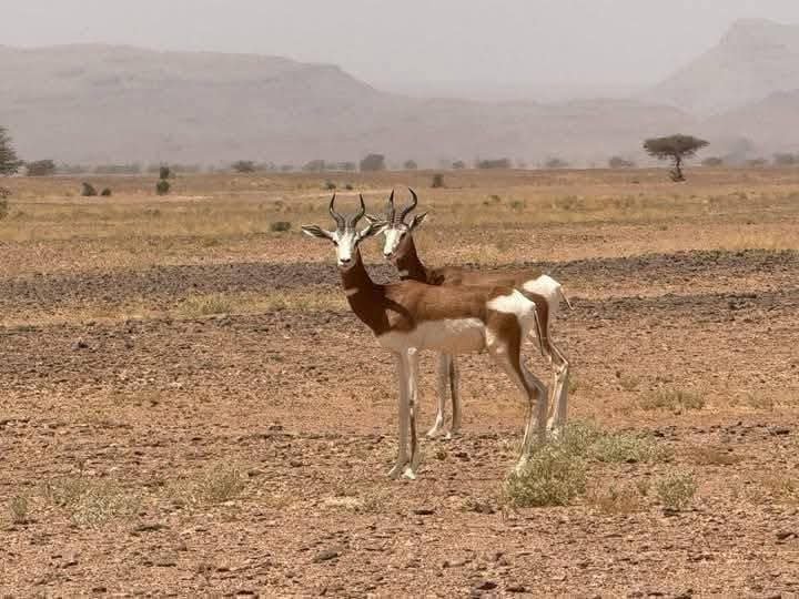 Atlas Mountains Desert Crossing
