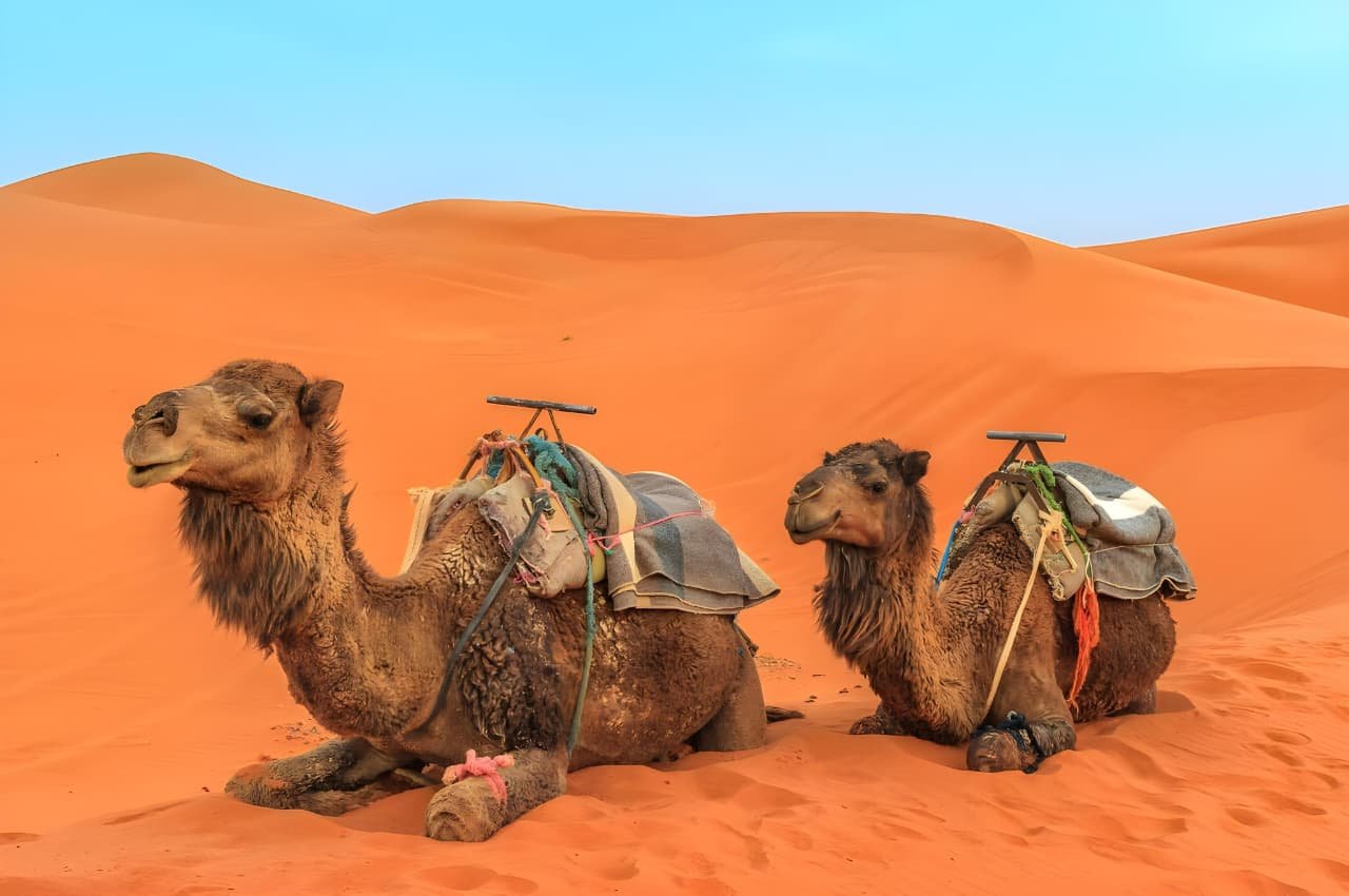 Sahara Desert Camping Morocco