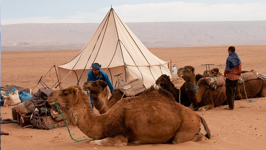 Desert Trekking Adventure